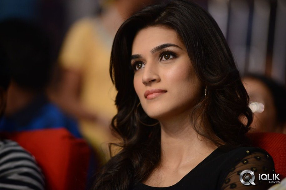 1-Nenokkadine-Movie-Audio-Release